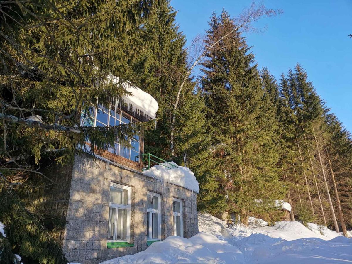 Holiday Home In Harrachov 2311 Eksteriør billede