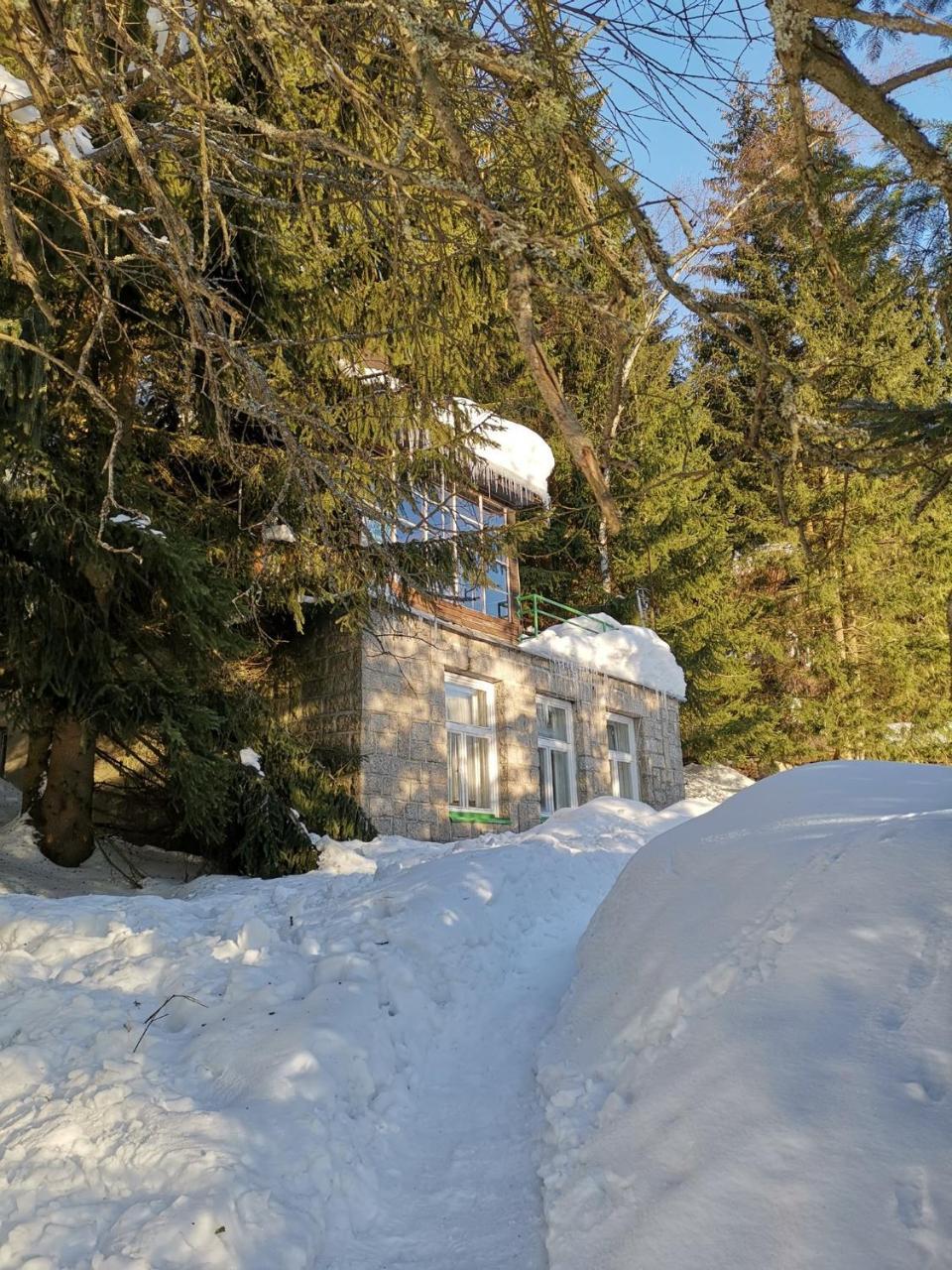 Holiday Home In Harrachov 2311 Eksteriør billede